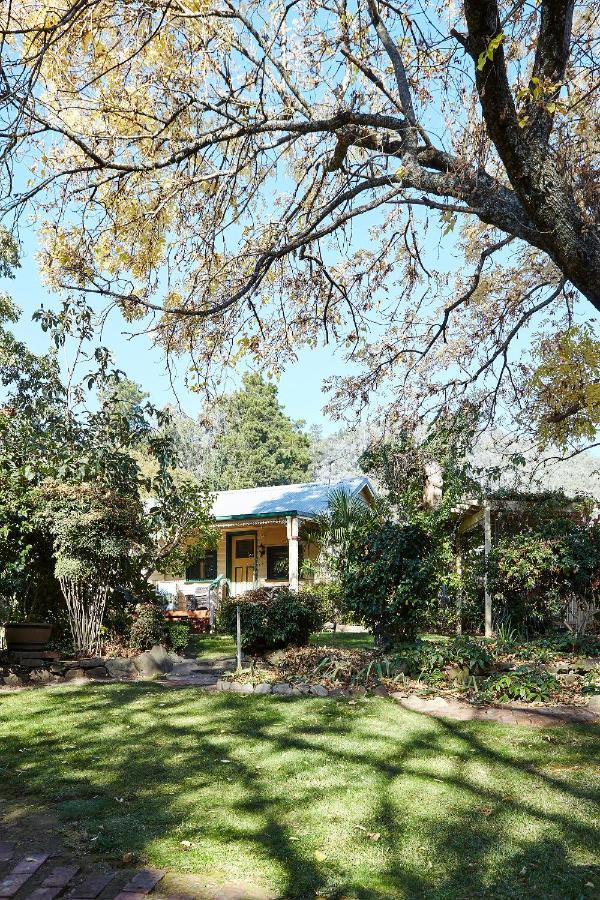 Tiffany'S Cottages Bright Extérieur photo