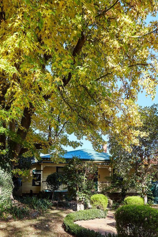 Tiffany'S Cottages Bright Extérieur photo
